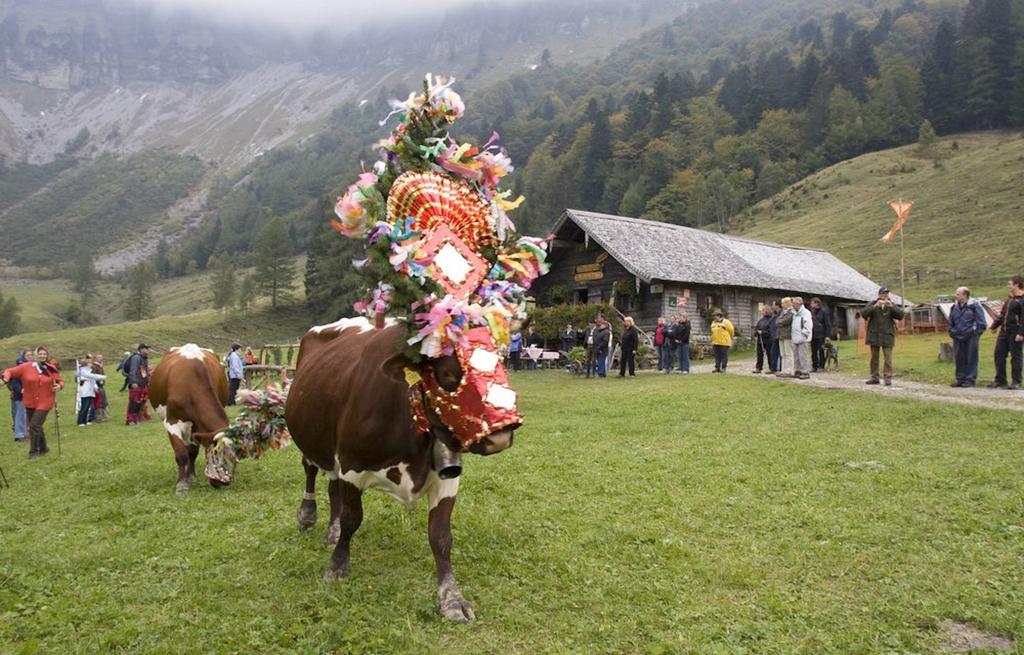 Haus Ebner Johann 恩特湖 外观 照片